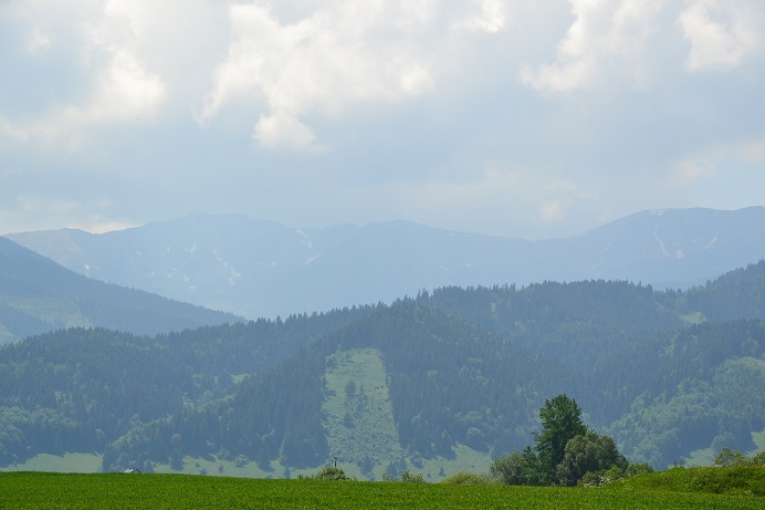 DSC_5572
